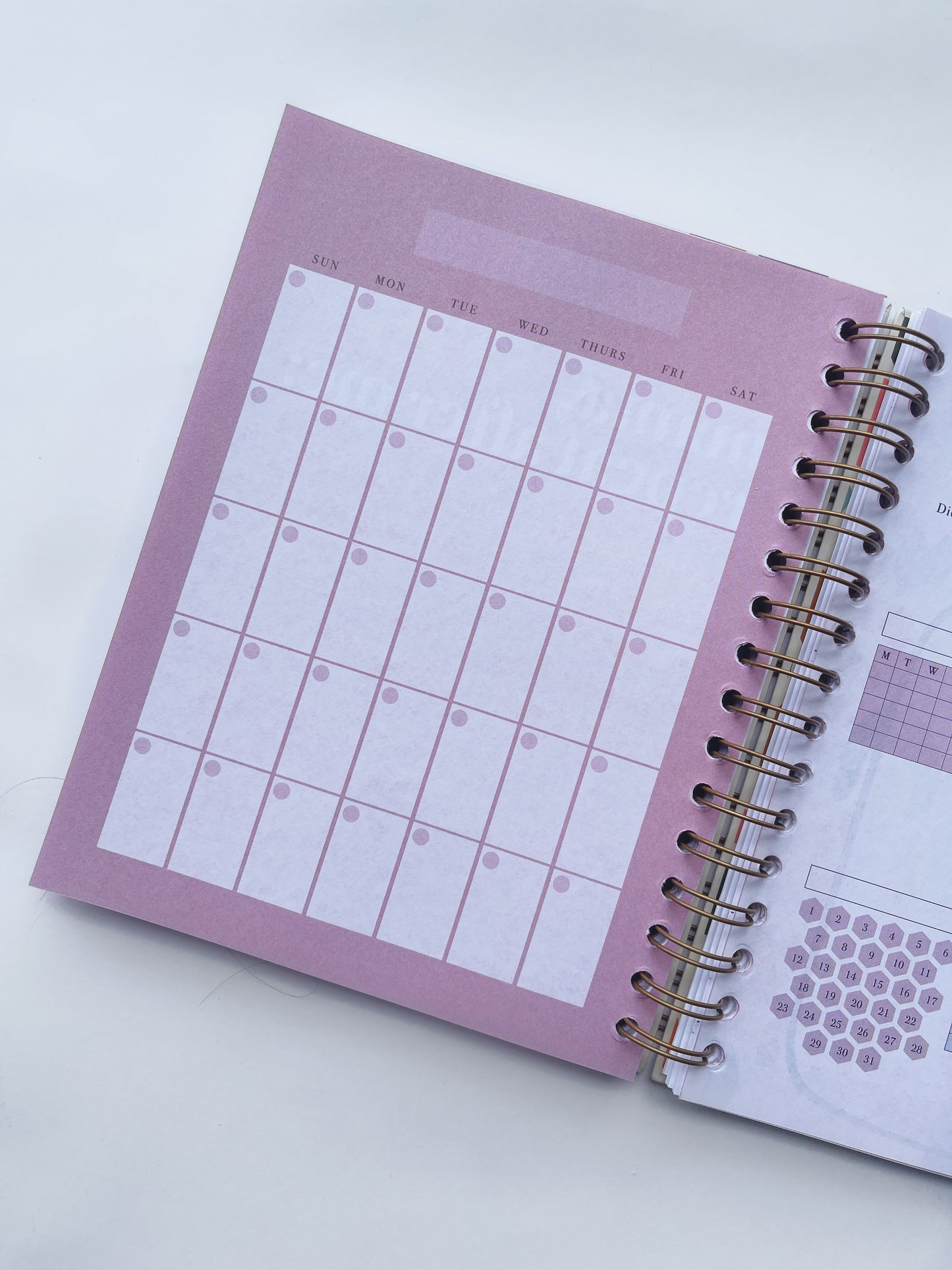 AGENDA (sin fechas)